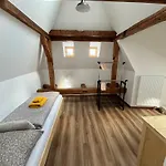 Zvedavka *